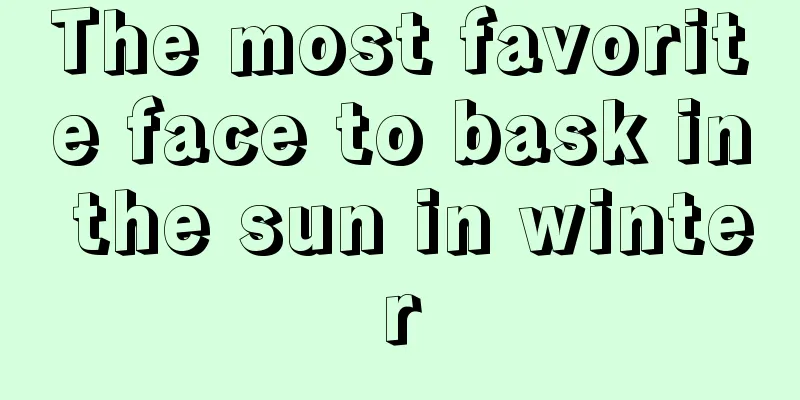 The most favorite face to bask in the sun in winter