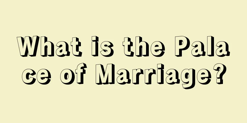 What is the Palace of Marriage?