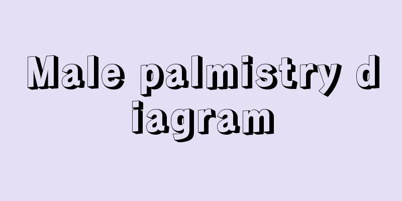 Male palmistry diagram