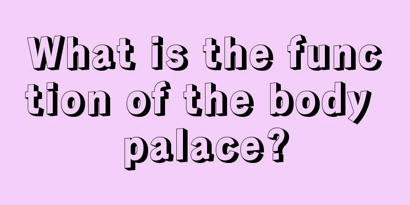 What is the function of the body palace?