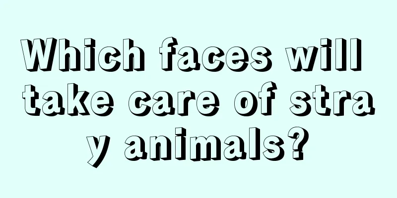Which faces will take care of stray animals?