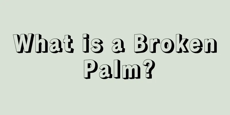 What is a Broken Palm?