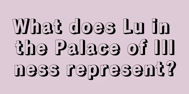 What does Lu in the Palace of Illness represent?