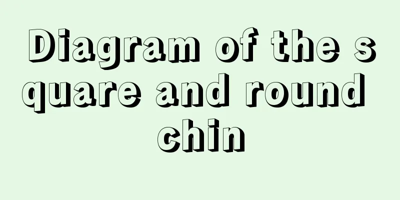 Diagram of the square and round chin