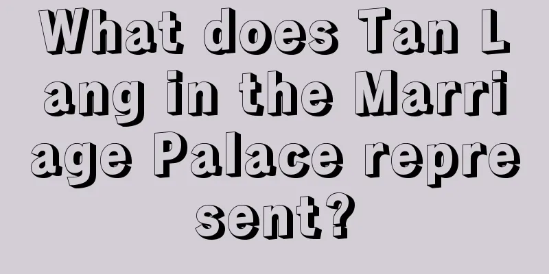 What does Tan Lang in the Marriage Palace represent?