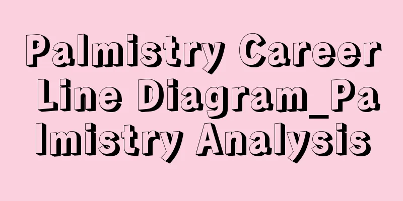 Palmistry Career Line Diagram_Palmistry Analysis