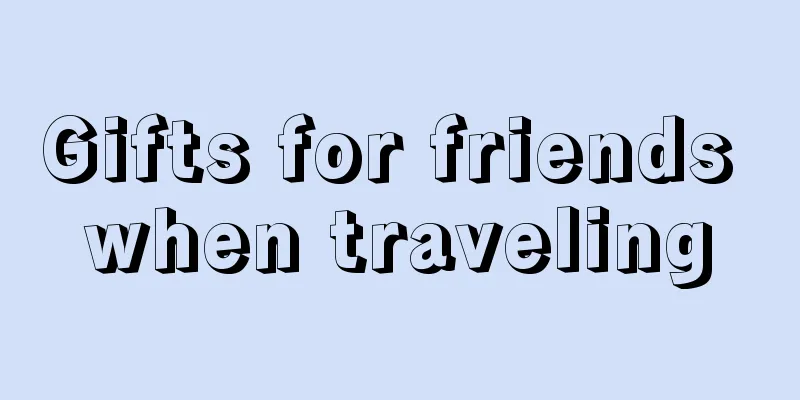 Gifts for friends when traveling