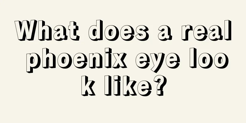 What does a real phoenix eye look like?