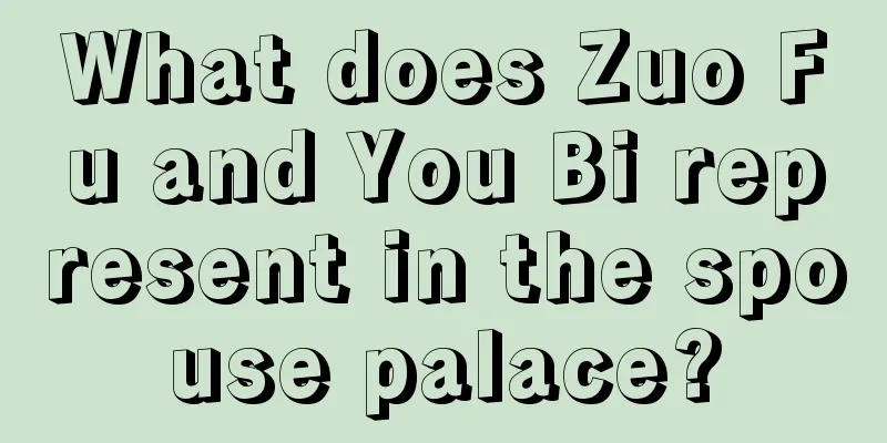 What does Zuo Fu and You Bi represent in the spouse palace?