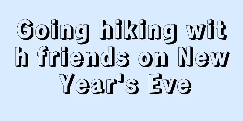 Going hiking with friends on New Year's Eve
