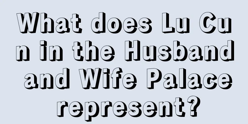 What does Lu Cun in the Husband and Wife Palace represent?