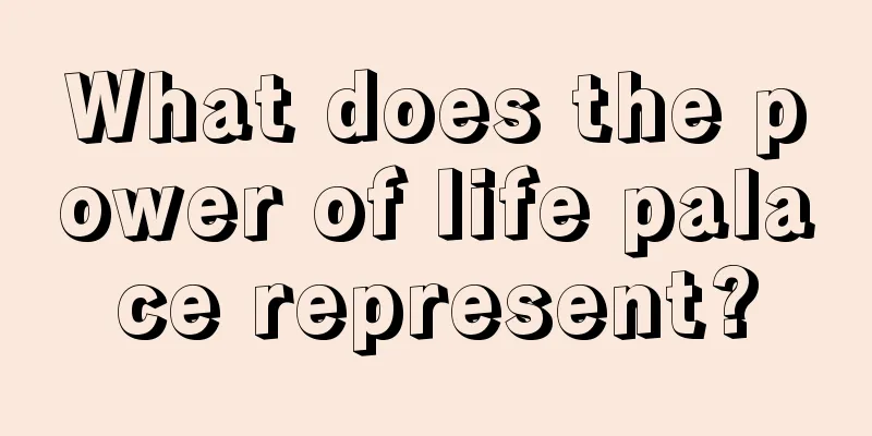 What does the power of life palace represent?