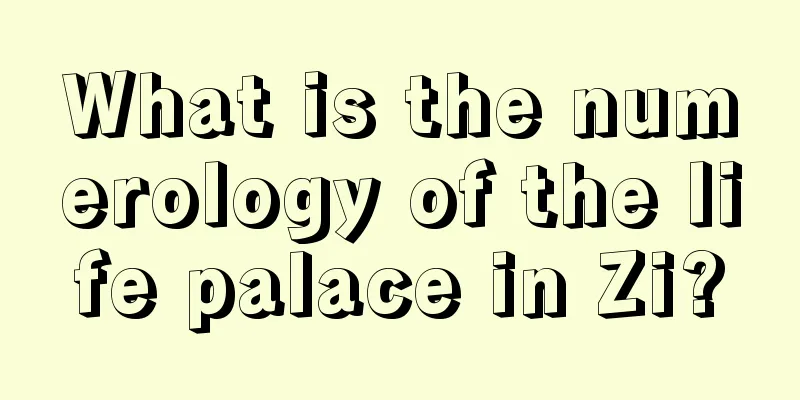 What is the numerology of the life palace in Zi?