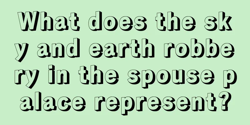 What does the sky and earth robbery in the spouse palace represent?