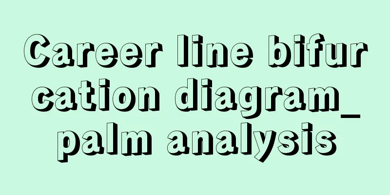 Career line bifurcation diagram_palm analysis