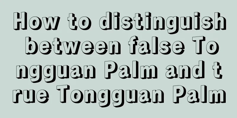 How to distinguish between false Tongguan Palm and true Tongguan Palm
