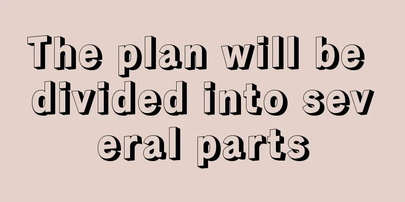 The plan will be divided into several parts