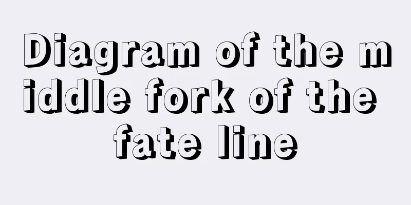 Diagram of the middle fork of the fate line