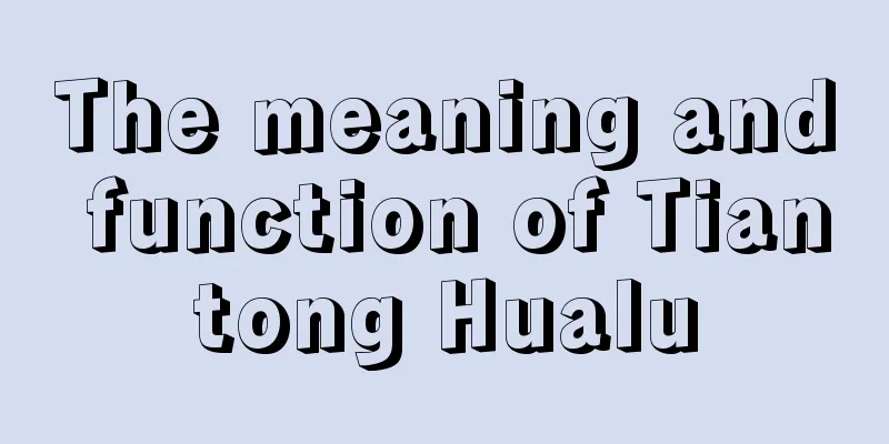 The meaning and function of Tiantong Hualu