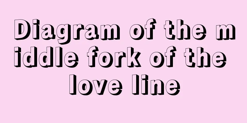 Diagram of the middle fork of the love line