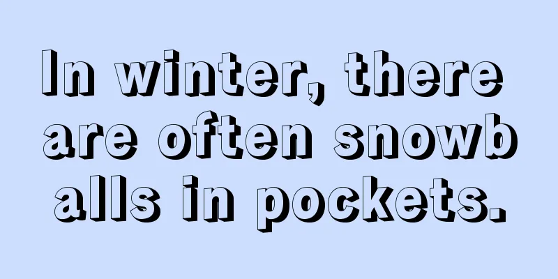 In winter, there are often snowballs in pockets.