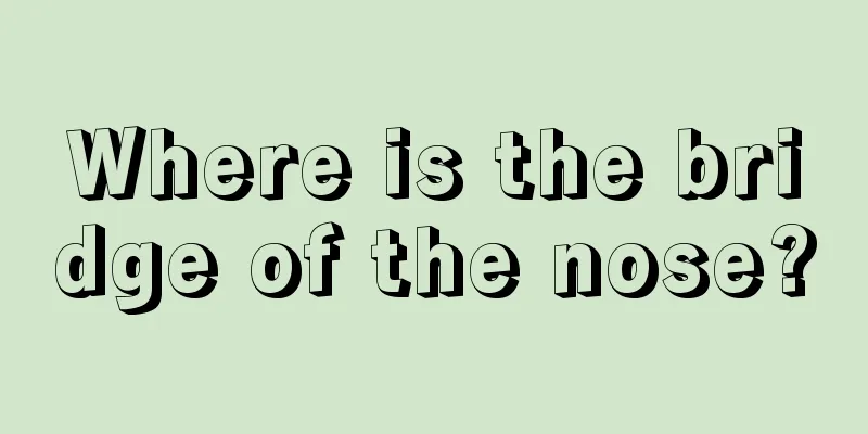 Where is the bridge of the nose?
