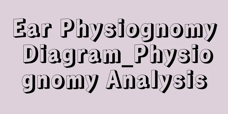 Ear Physiognomy Diagram_Physiognomy Analysis