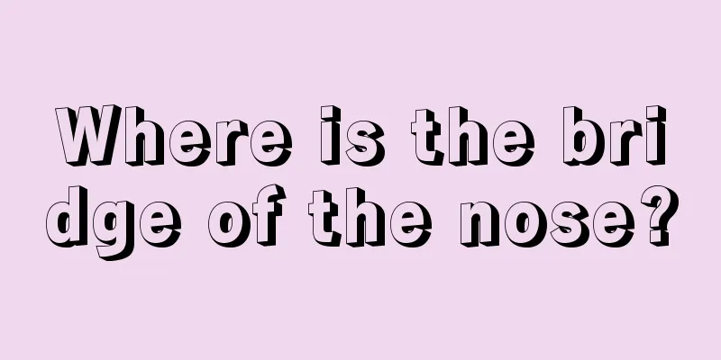 Where is the bridge of the nose?