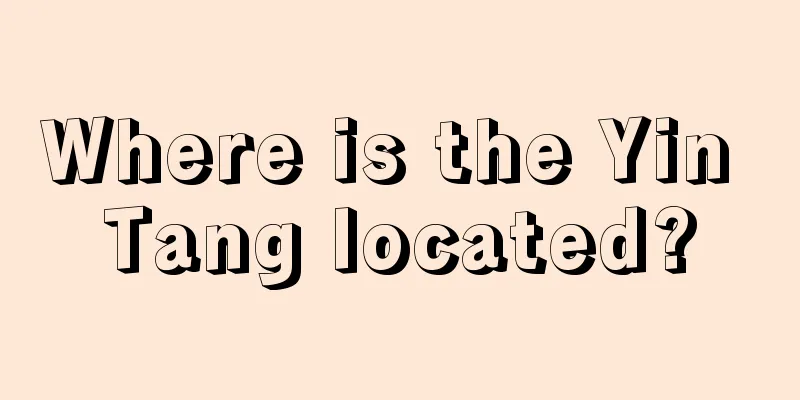 Where is the Yin Tang located?