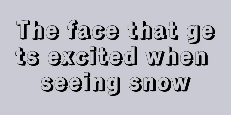 The face that gets excited when seeing snow