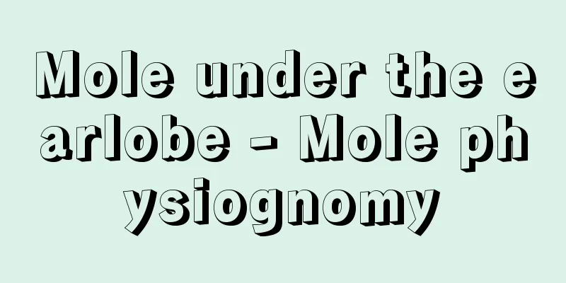 Mole under the earlobe - Mole physiognomy