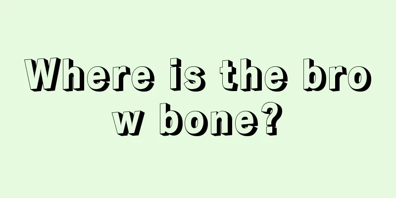Where is the brow bone?