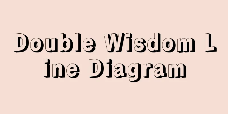 Double Wisdom Line Diagram