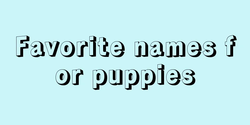 Favorite names for puppies