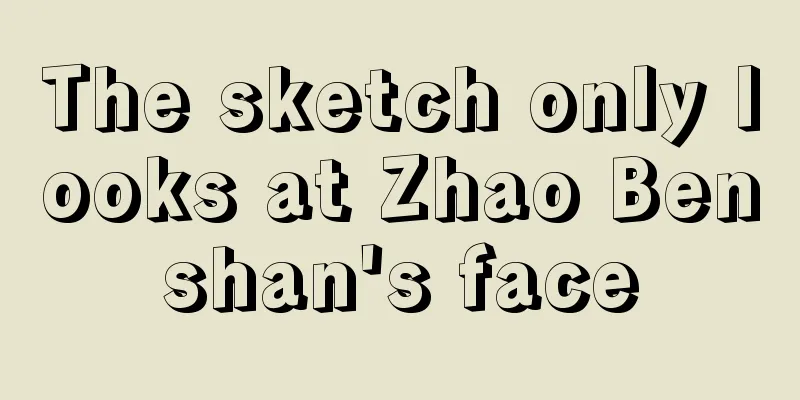 The sketch only looks at Zhao Benshan's face