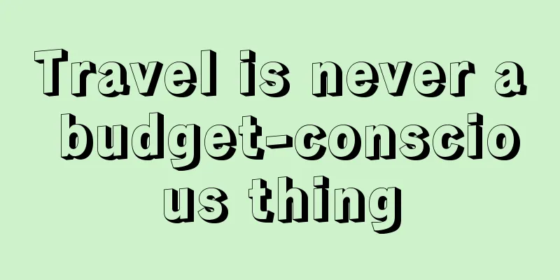 Travel is never a budget-conscious thing
