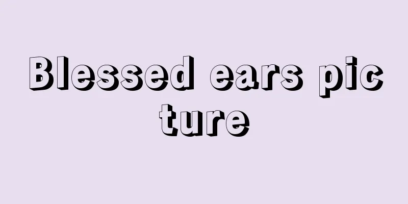 Blessed ears picture