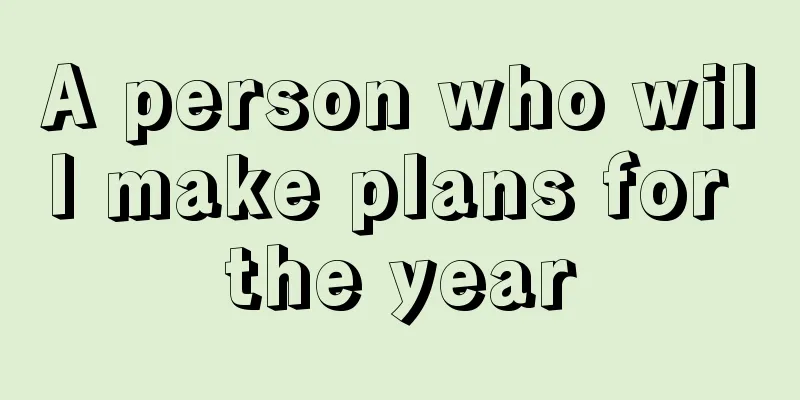 A person who will make plans for the year