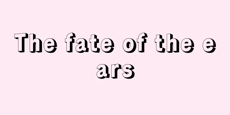 The fate of the ears