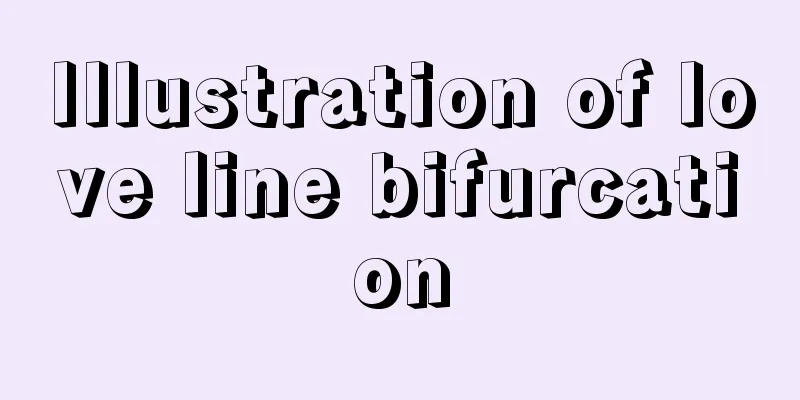 Illustration of love line bifurcation