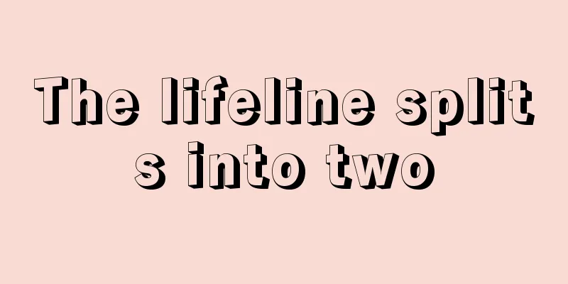 The lifeline splits into two