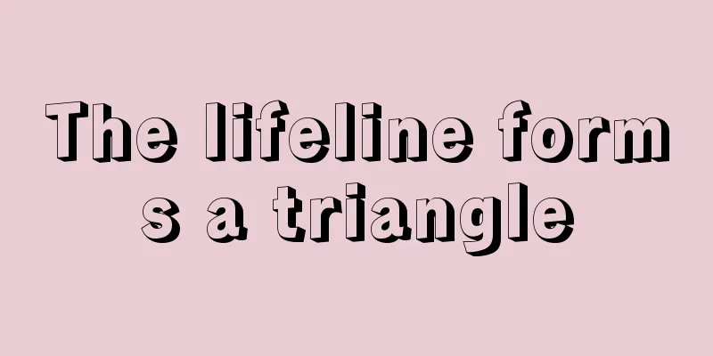 The lifeline forms a triangle