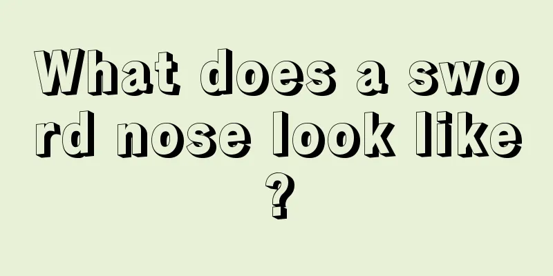 What does a sword nose look like?