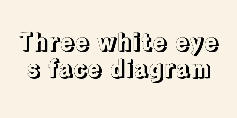 Three white eyes face diagram