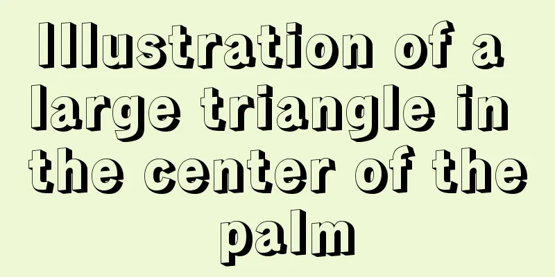 Illustration of a large triangle in the center of the palm