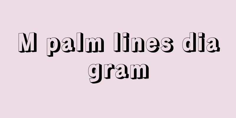 M palm lines diagram