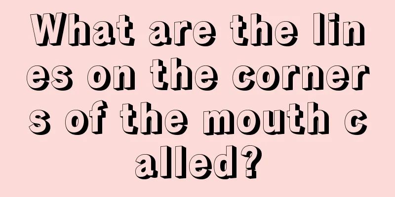 What are the lines on the corners of the mouth called?