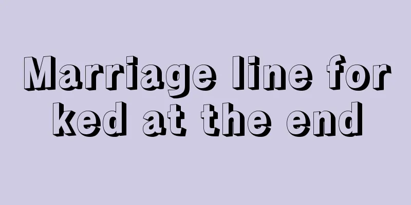 Marriage line forked at the end