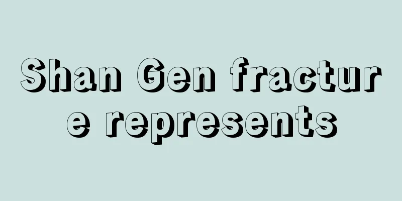 Shan Gen fracture represents