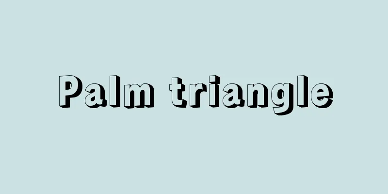 Palm triangle